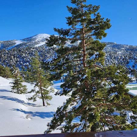 Ferienwohnung Greolieres Les Neiges Exterior foto