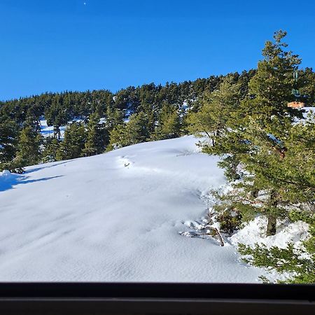 Ferienwohnung Greolieres Les Neiges Exterior foto