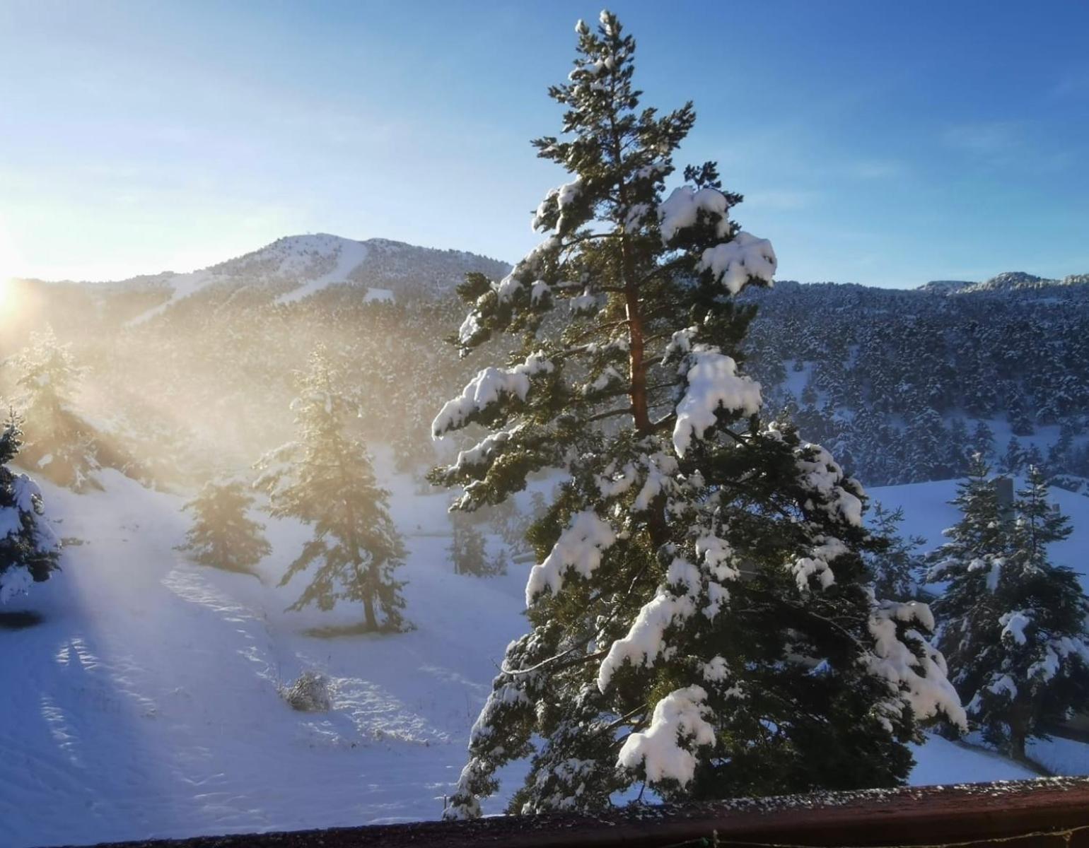 Ferienwohnung Greolieres Les Neiges Exterior foto