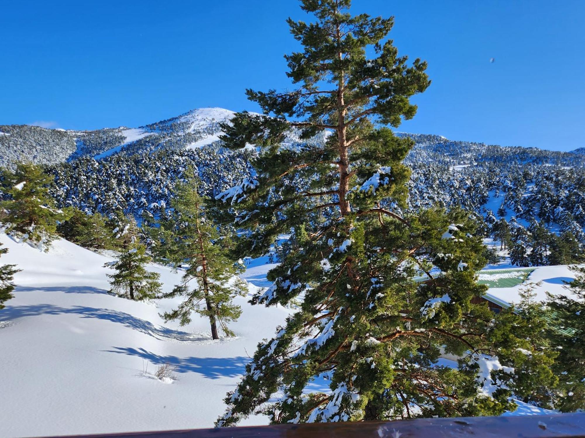 Ferienwohnung Greolieres Les Neiges Exterior foto