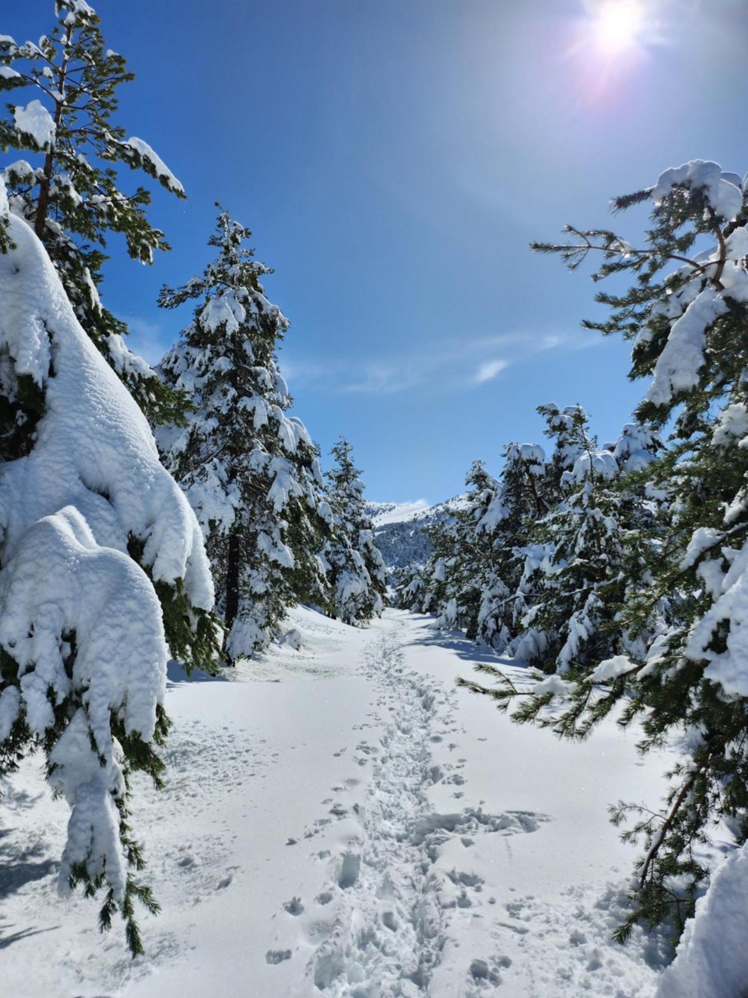 Ferienwohnung Greolieres Les Neiges Exterior foto
